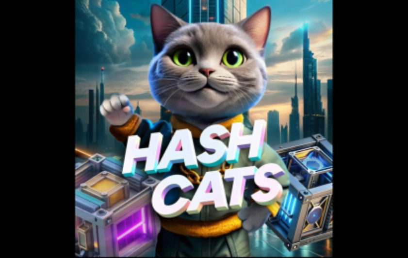 HashCats Daily Code 1 October 2024