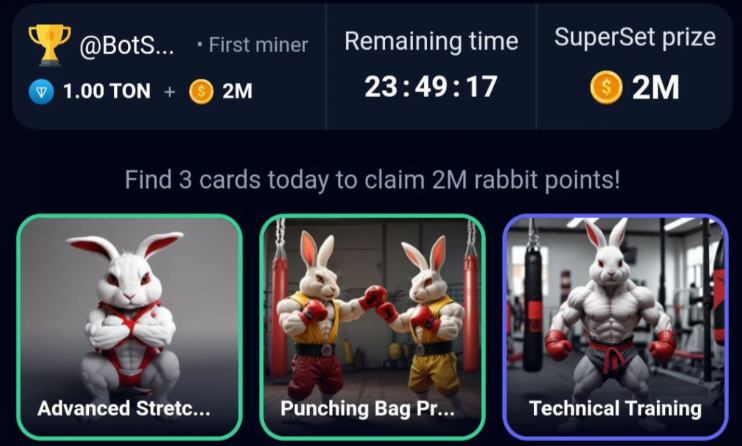 Rocky Rabbit Daily Combo 15 September 2024