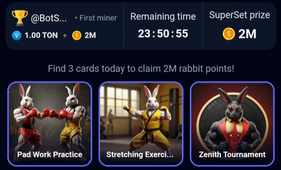 Rocky Rabbit Daily Combo 16 September 2024