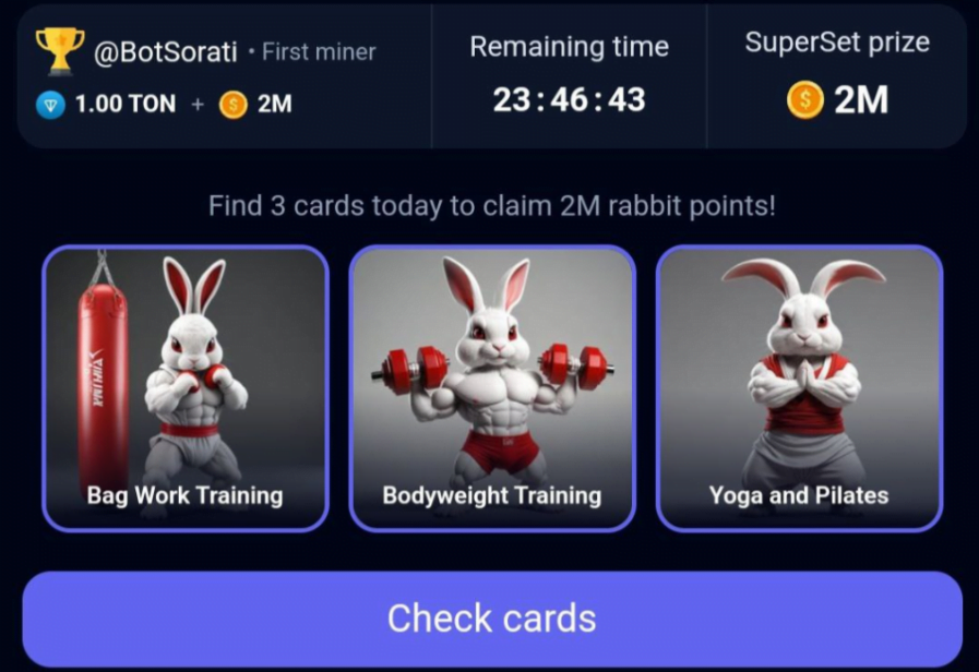 Rocky Rabbit Daily Combo 19 September 2024