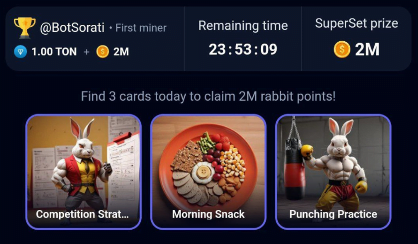 Rocky Rabbit Daily Combo 25 September 2024