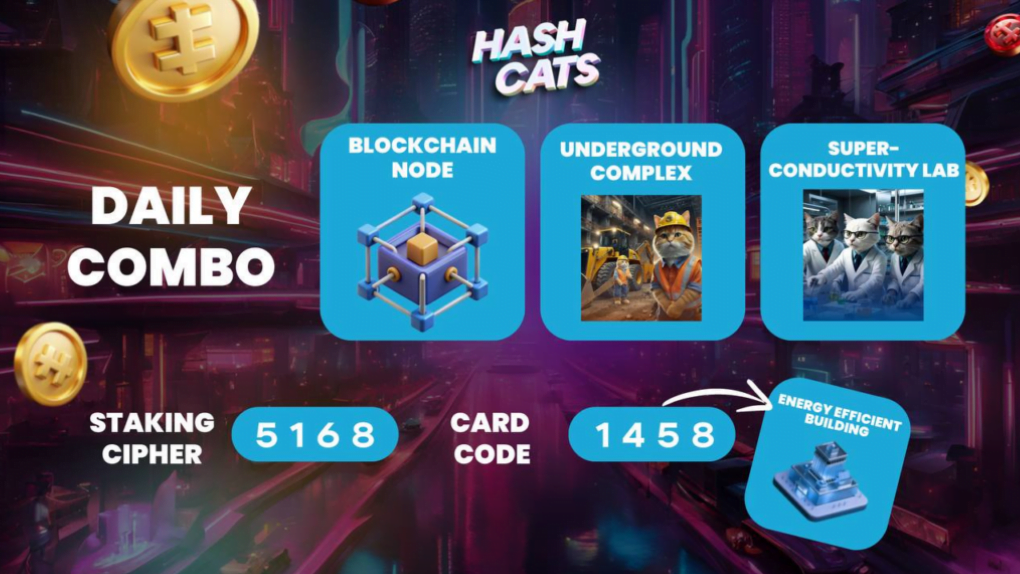 HashCats Daily Combo & Cipher Staking 20 September 2024