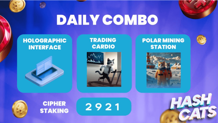 HashCats Daily Combo & Cipher Staking 16 October 2024