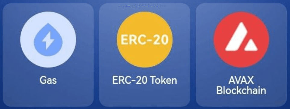 TapCoins Bounty Daily Combo 29 October 2024