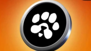 PAWS Listing Date and $PAWS Mystery Quest Ignite Telegram Revolution