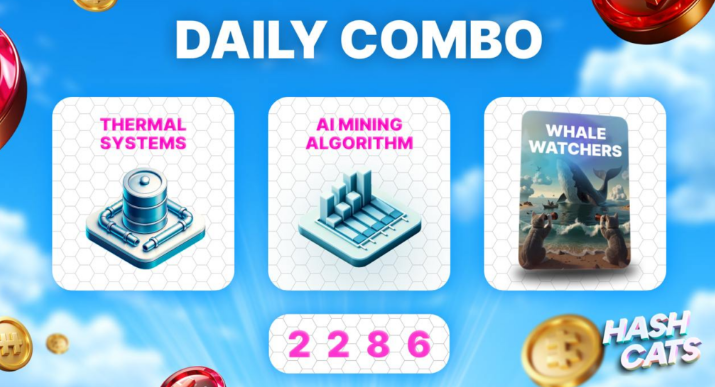 HashCats Daily Combo & Cipher Staking 5 December 2024