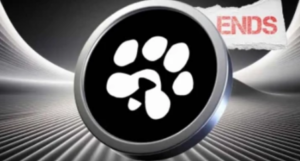 Paws Listing Date May Extend: Recover Stolen $PAWS Tokens