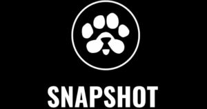 $PAWS Snapshot Countdown: Key Details and How to Prepare