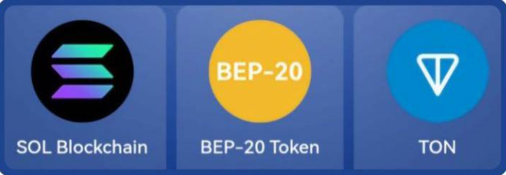 TapCoins Bounty Daily Combo 5 January 2025