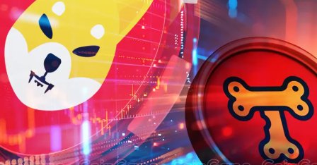 Shiba Inu TREAT Token Launch: Key Highlights and Developments