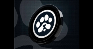 PAWS Pre-Market & TGE: Prepare Early for the $PAWS Listing Date