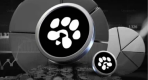 PAWS Listing Date Update: Token Distribution & Price Predictions