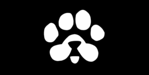 Paws Airdrop Update: Binance Listing on the Horizon?