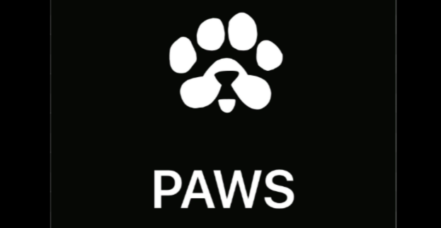 PAWS Airdrop: Latest Updates on the Crypto Event