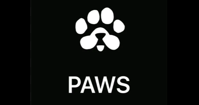 PAWS Airdrop Allocation Checker Live: Is $PAWS Listing Coming Soon?